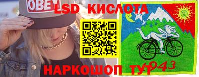 СК Донской