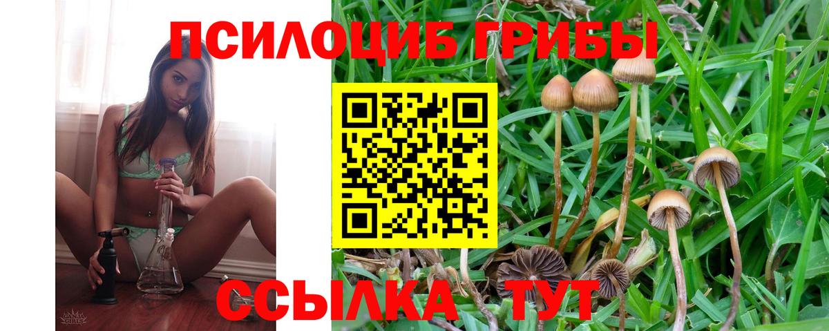 Псилоцибиновые грибы MAGIC MUSHROOMS  Вход с VPN  Севастополь 