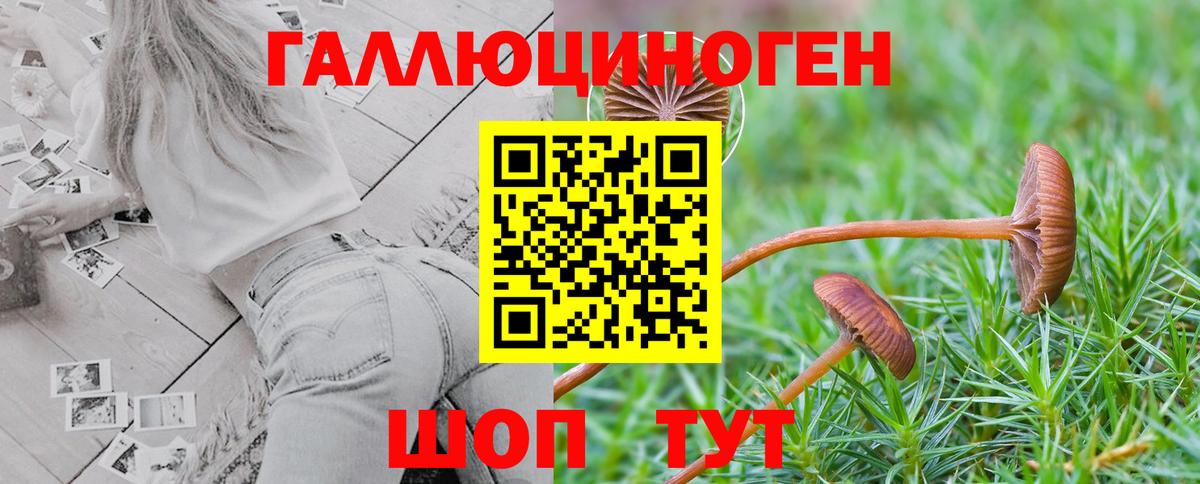Псилоцибиновые грибы мицелий Севастополь